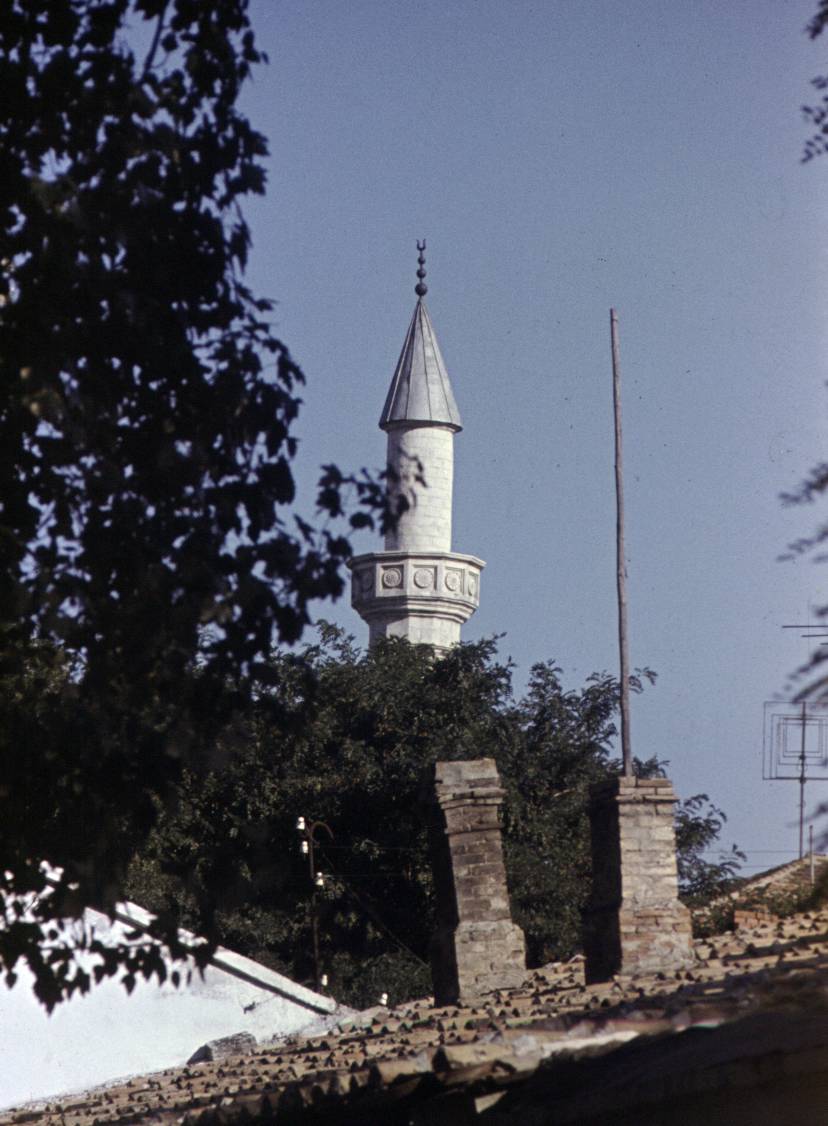 114.JPG