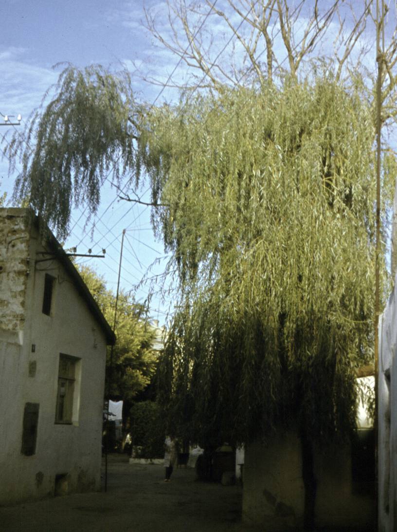 127.JPG