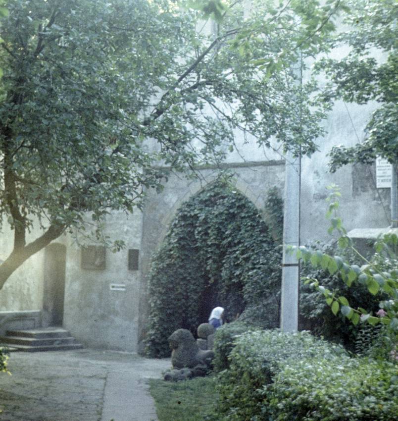 113.jpg
