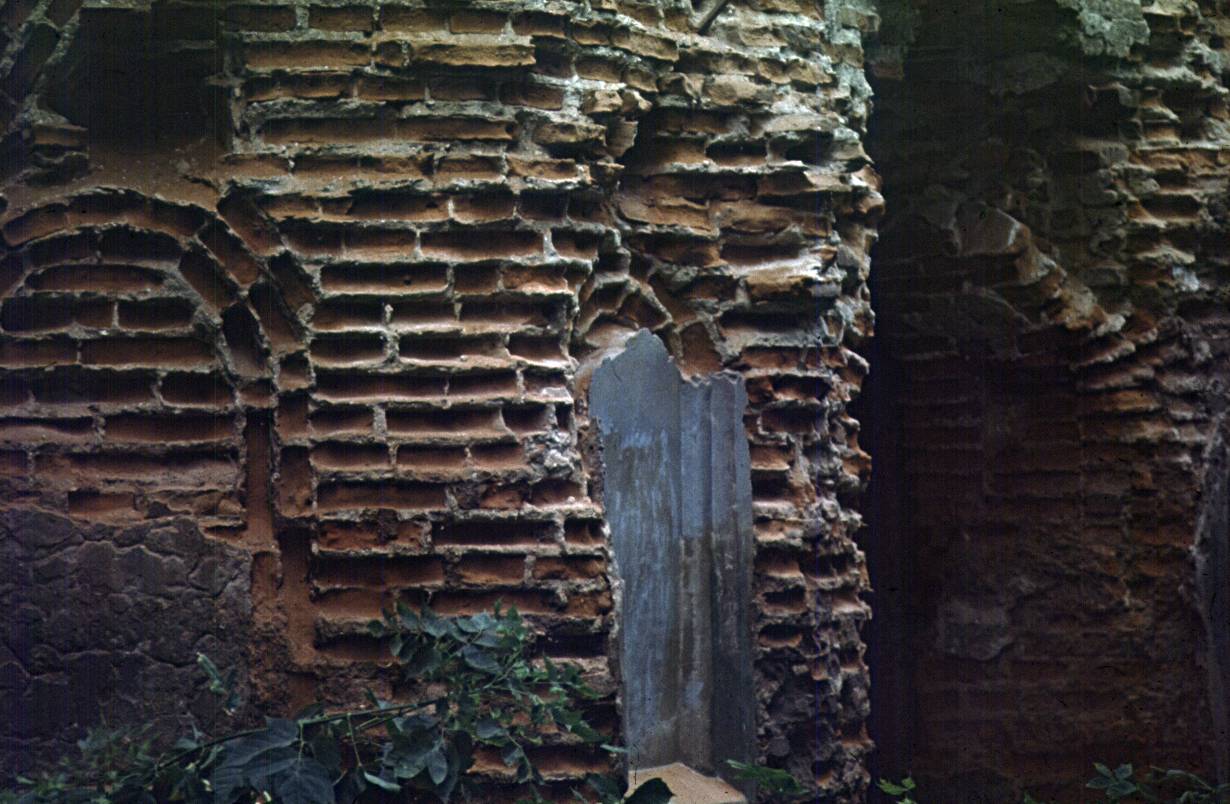 167.jpg