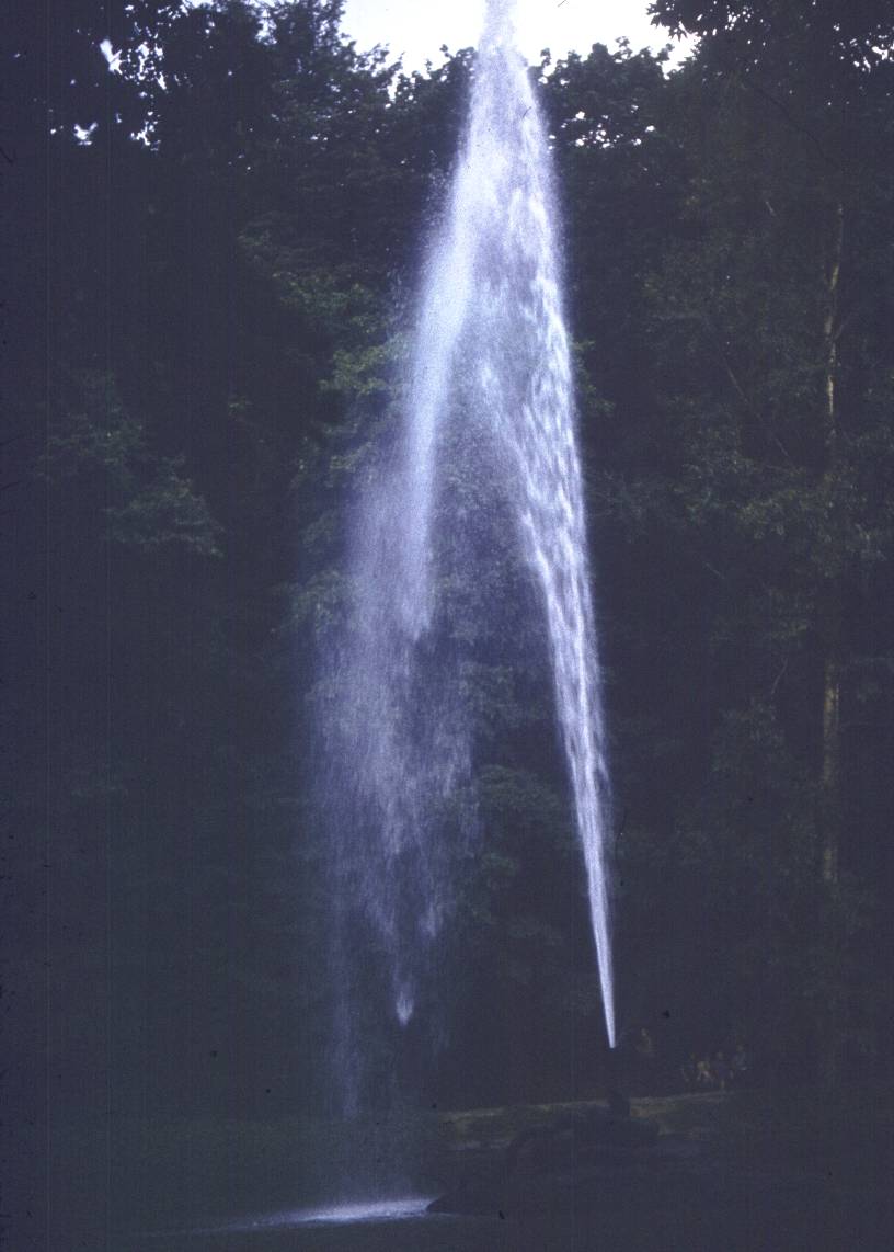 115.jpg