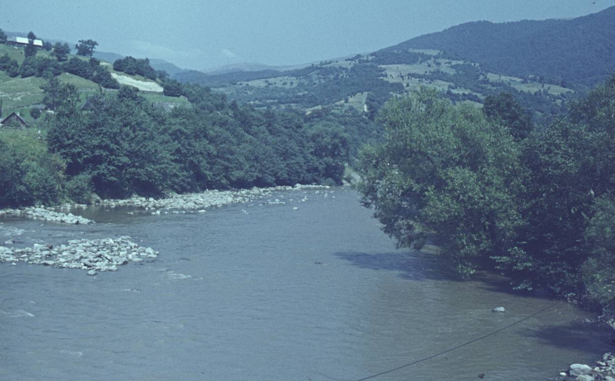 146.jpg
