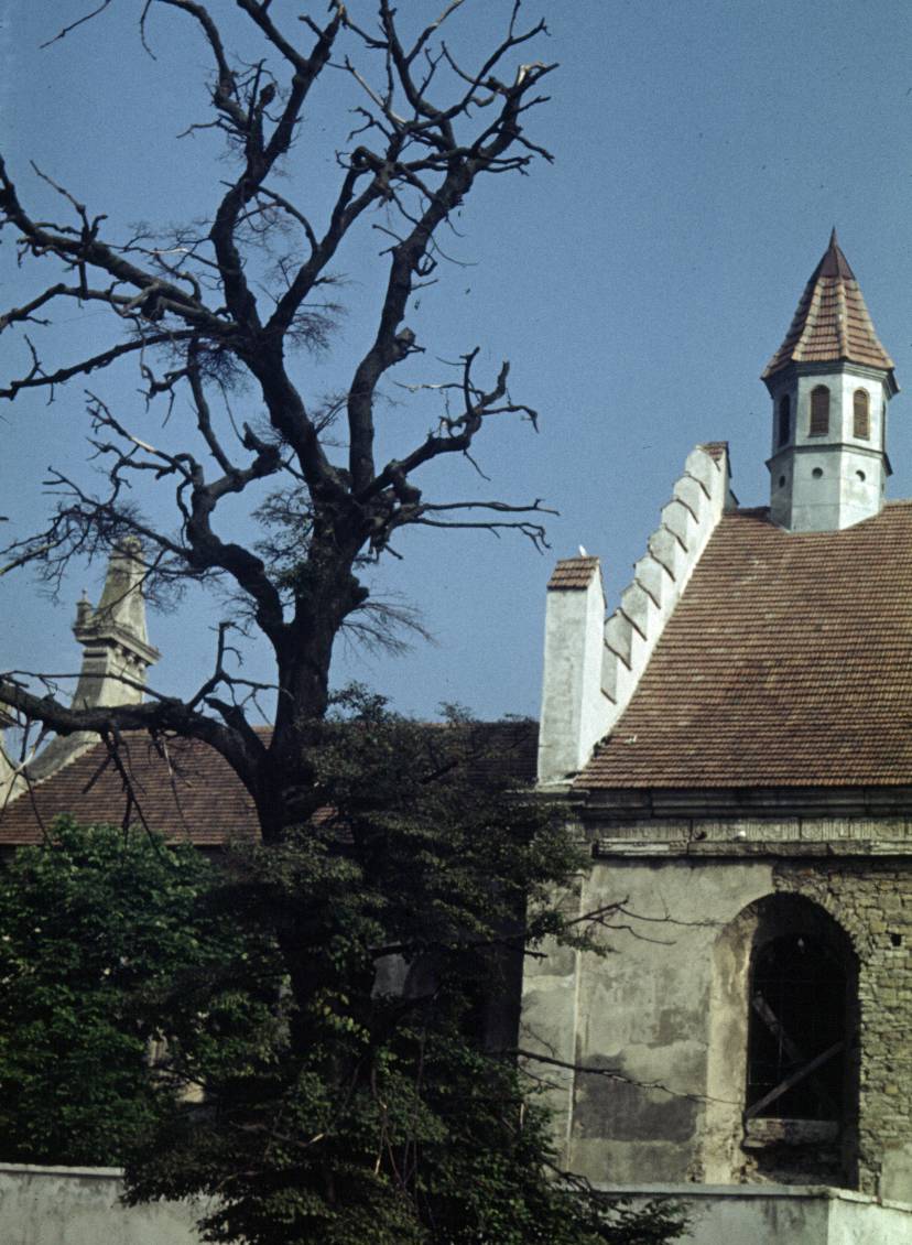 156.jpg