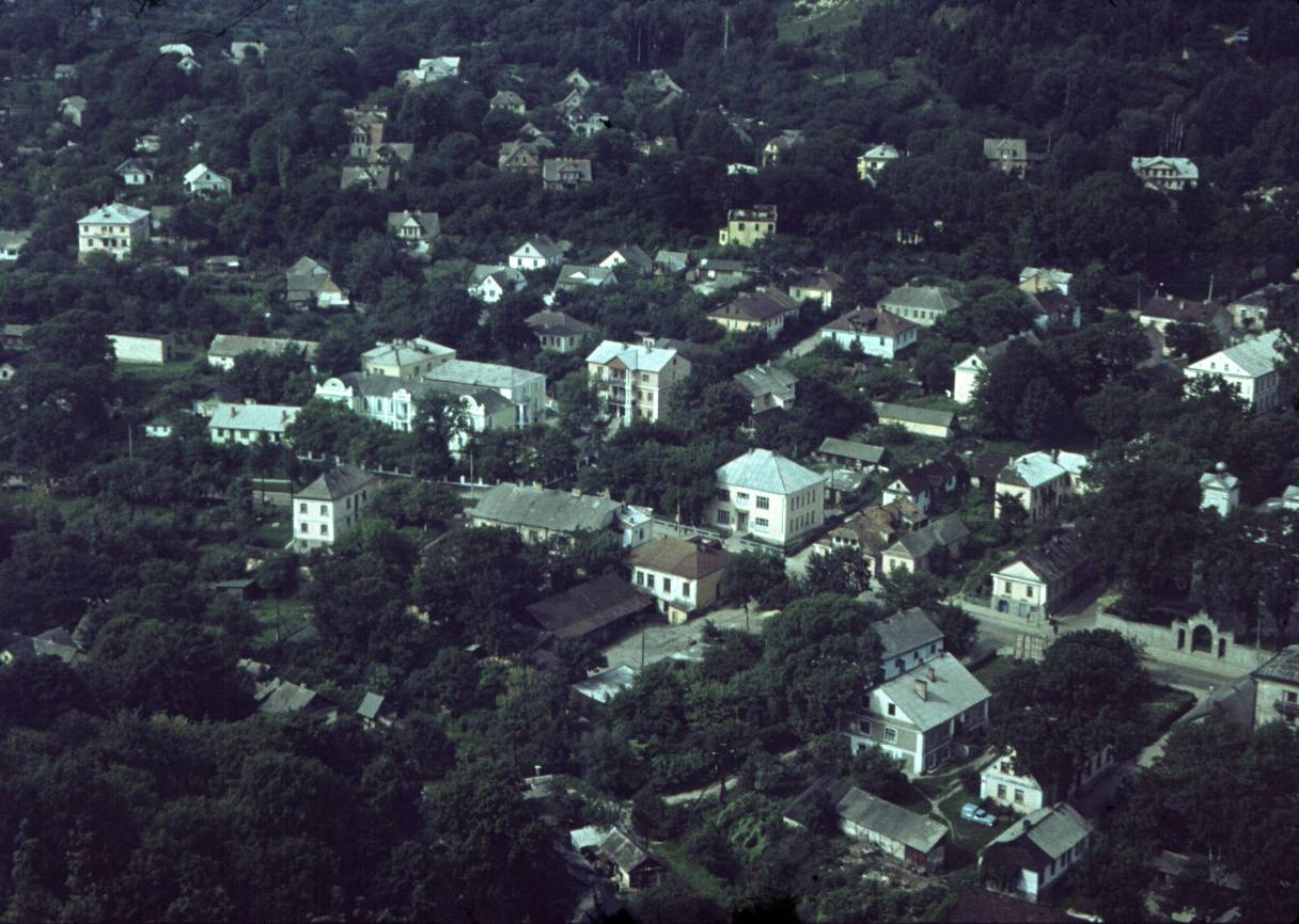 164.jpg