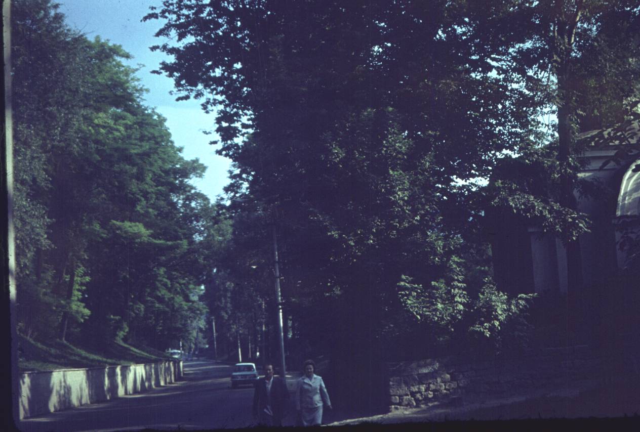 177.jpg