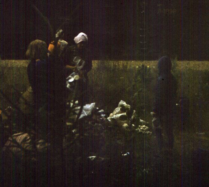 149.jpg