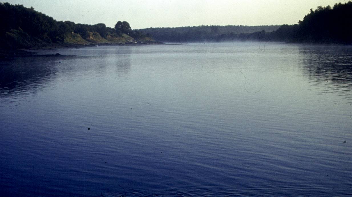184.jpg