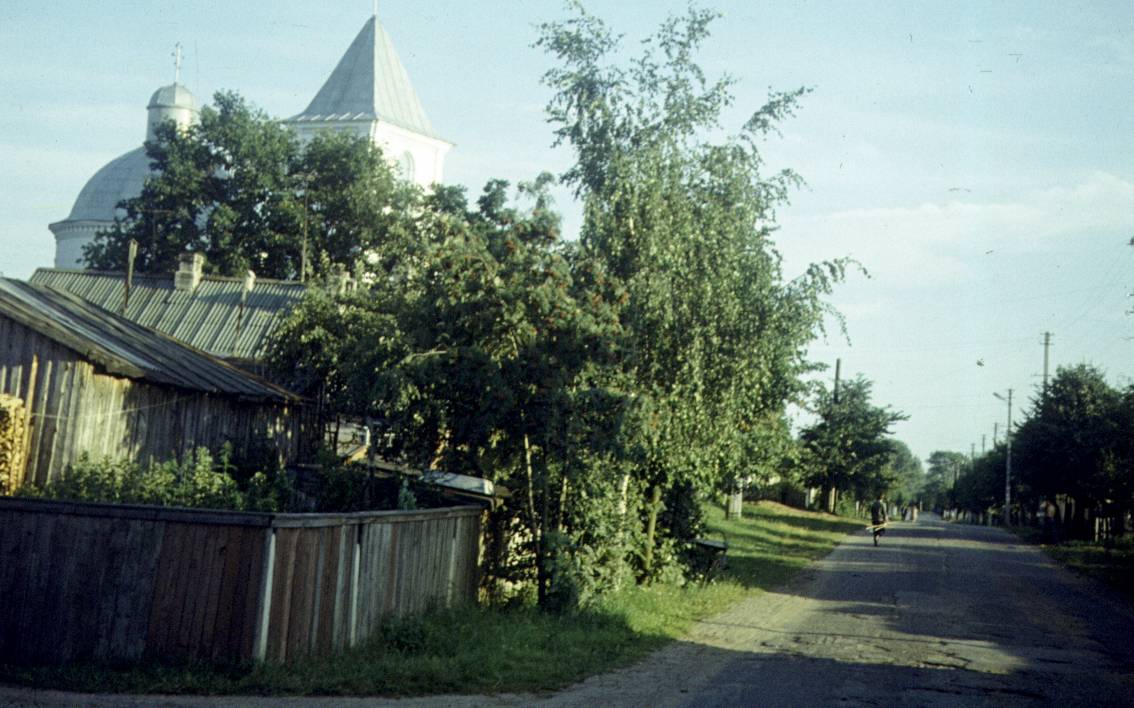 195.jpg