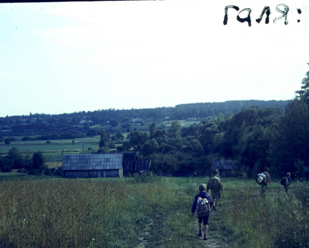 202.jpg