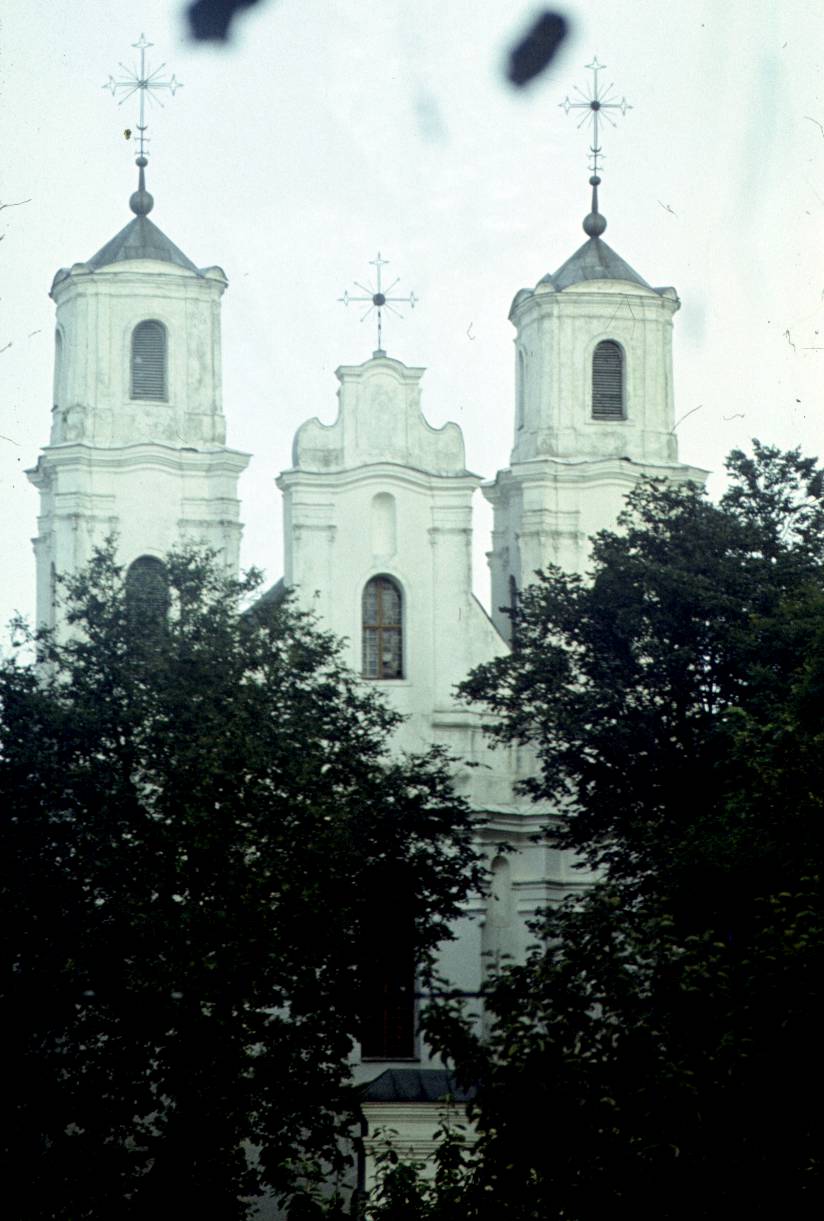 217.jpg