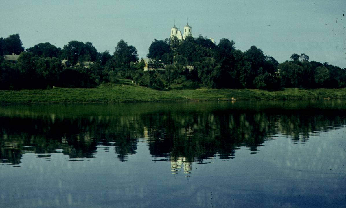 229.jpg