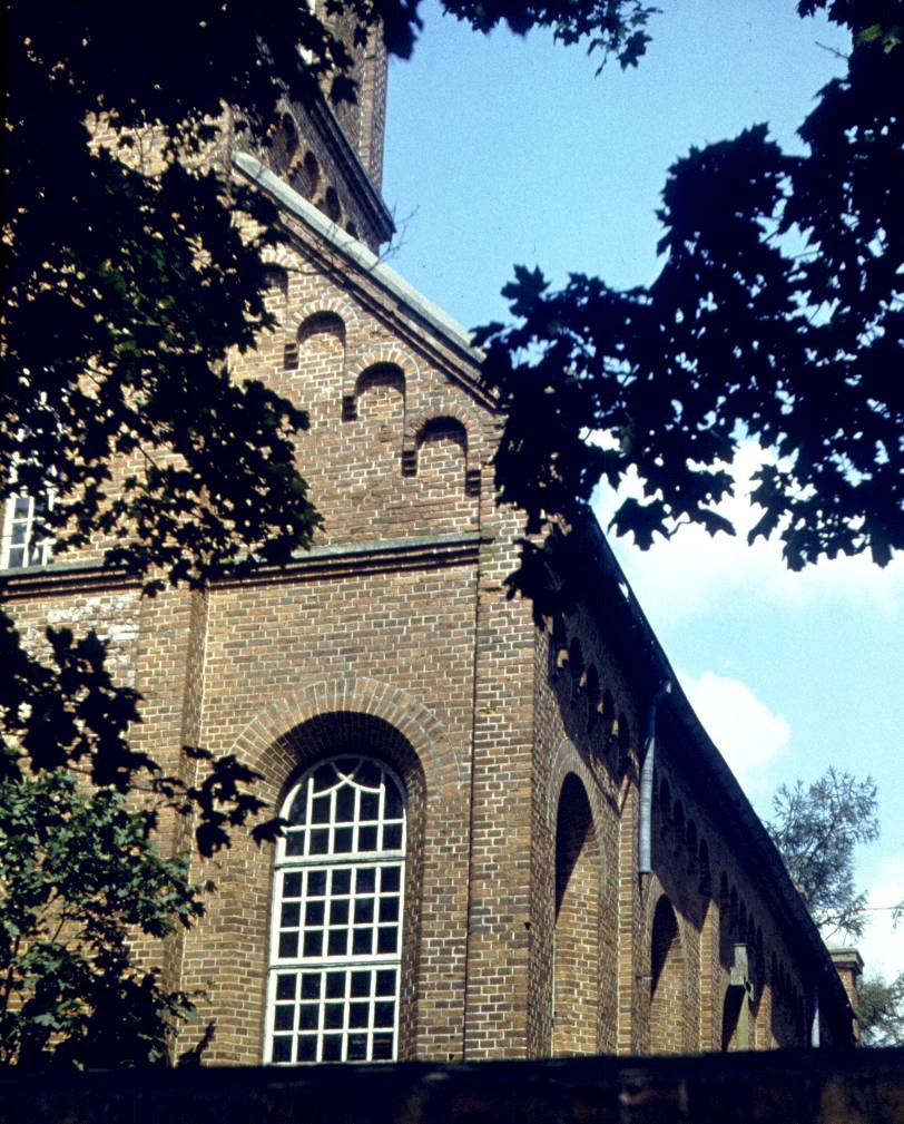 258.jpg