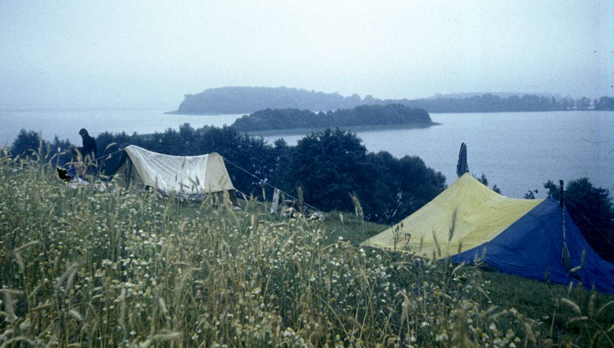 270.jpg