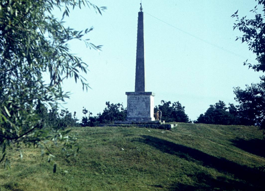 315.jpg