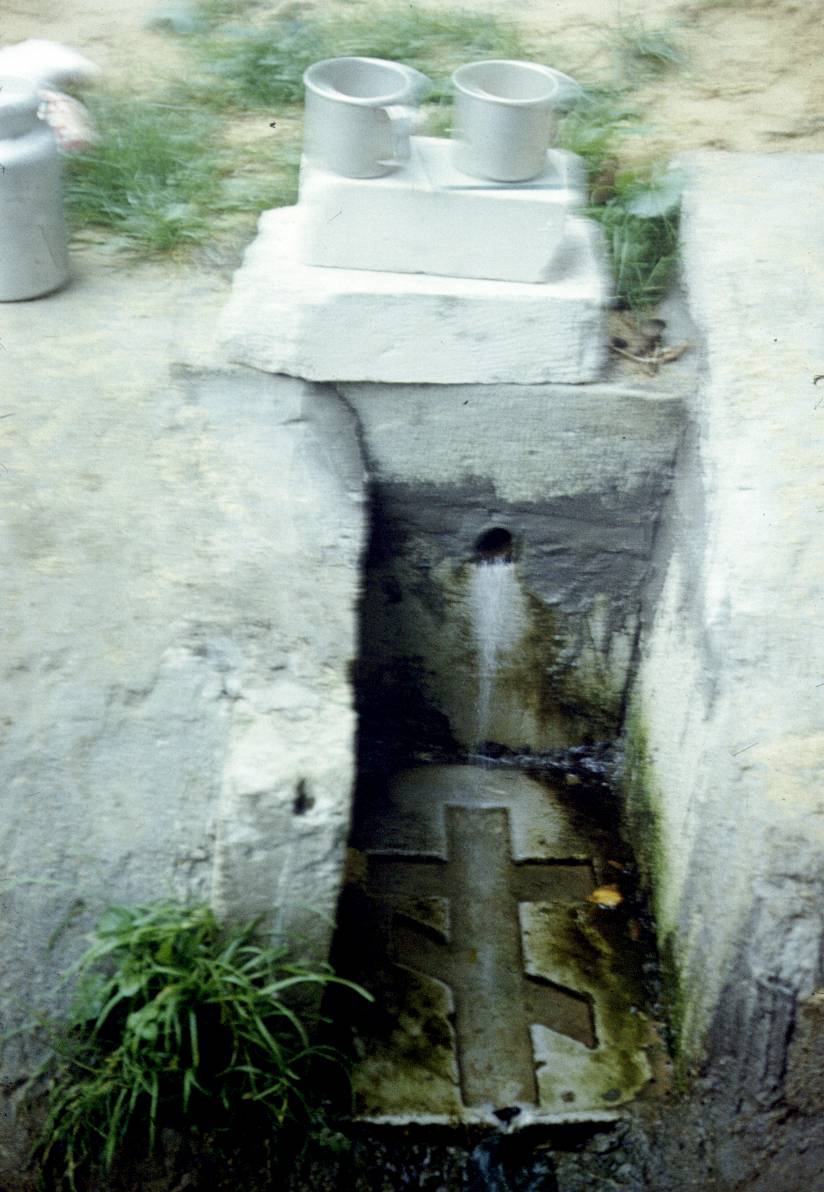 344.jpg