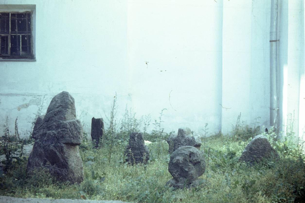 156.jpg