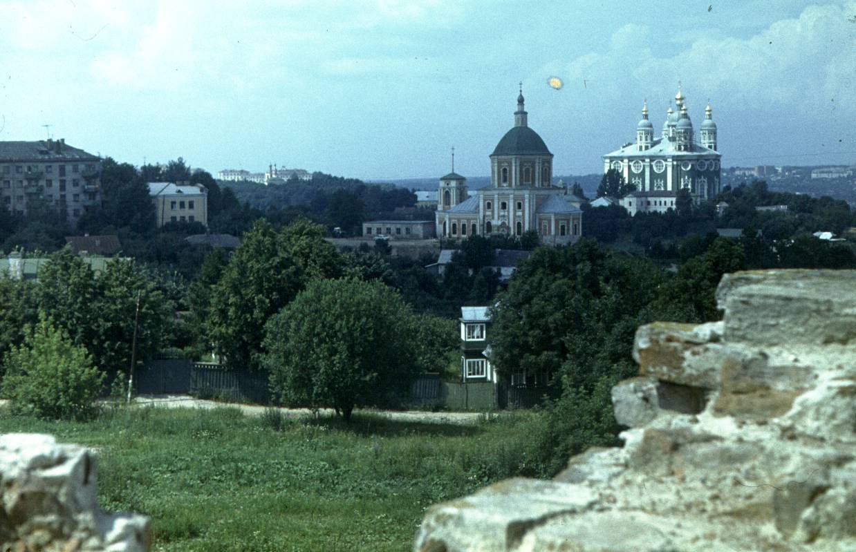 313.jpg