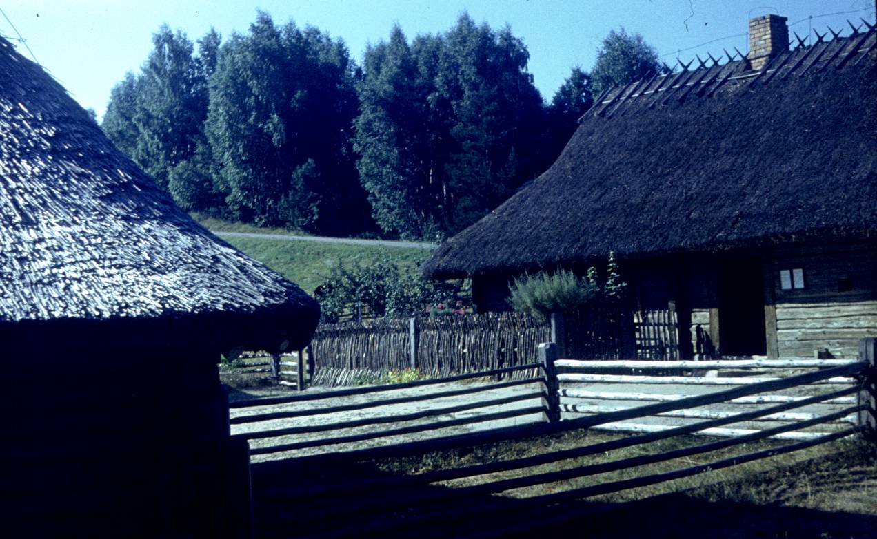209.jpg