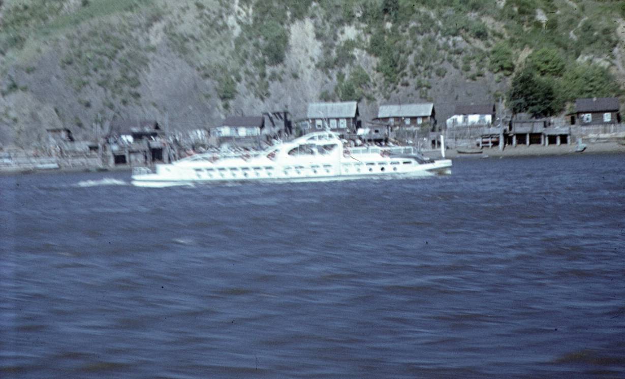 050.jpg