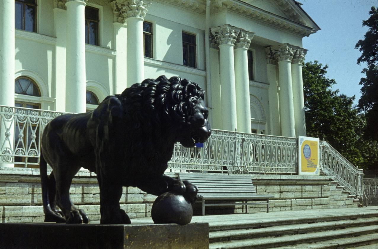 110.jpg