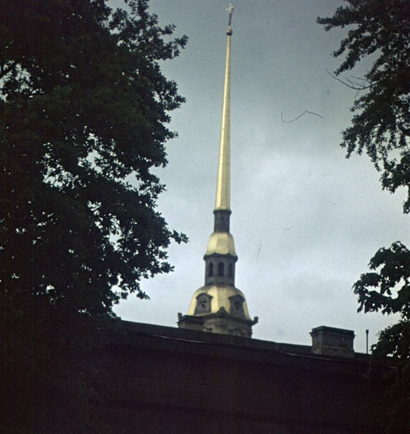 031.jpg