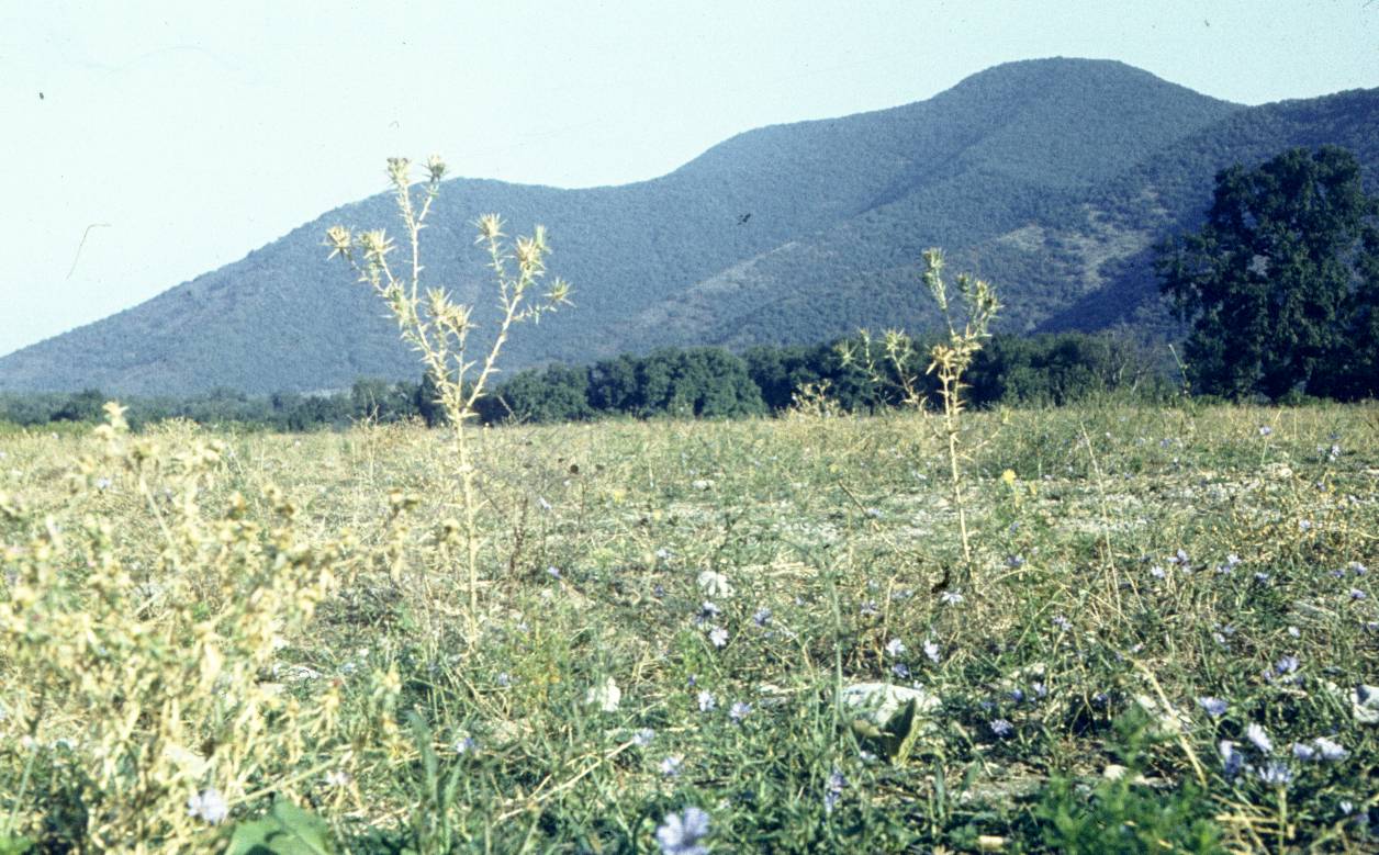 124.JPG