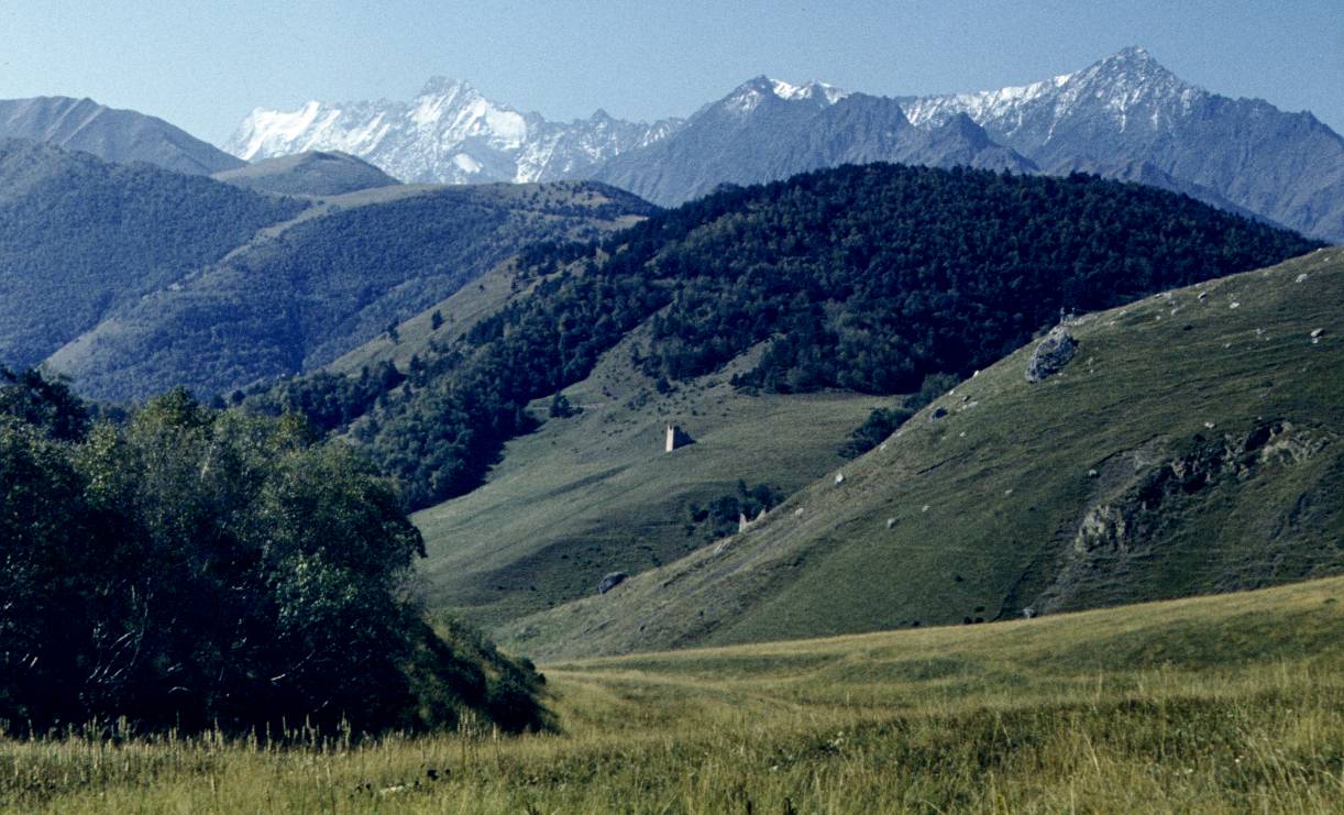 129.JPG