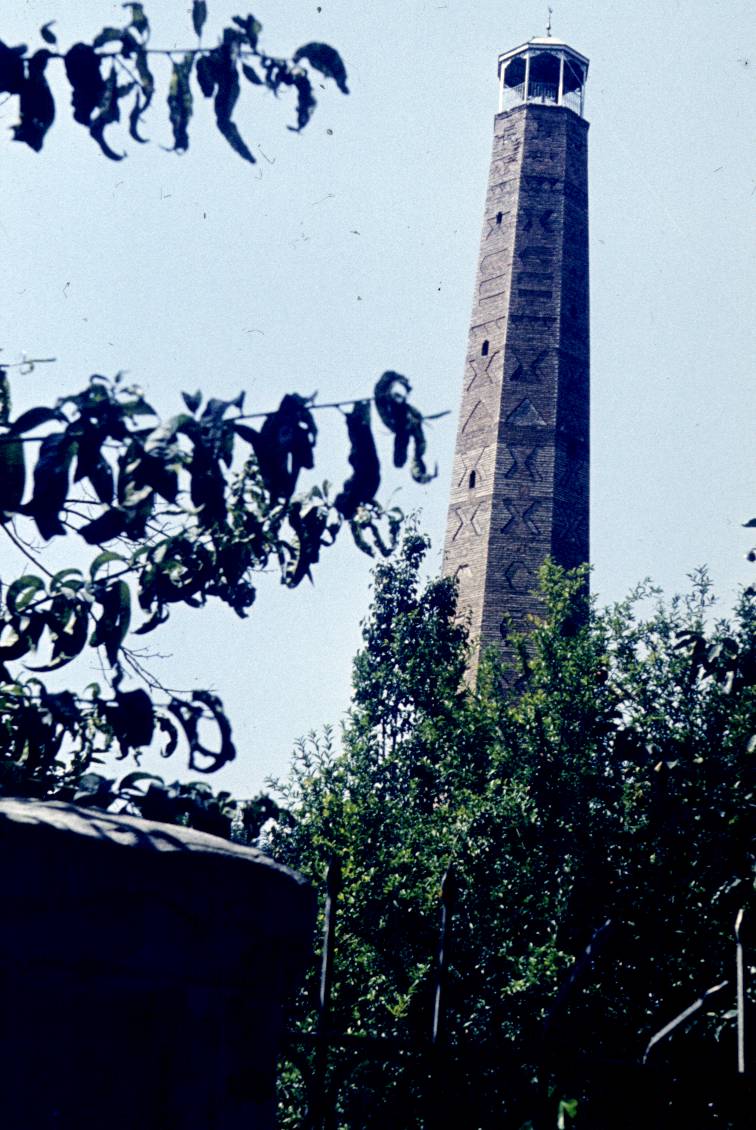 167.JPG