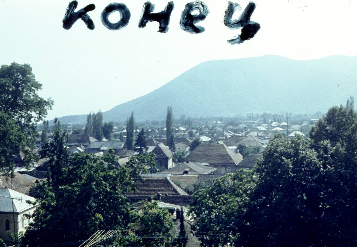 194.JPG