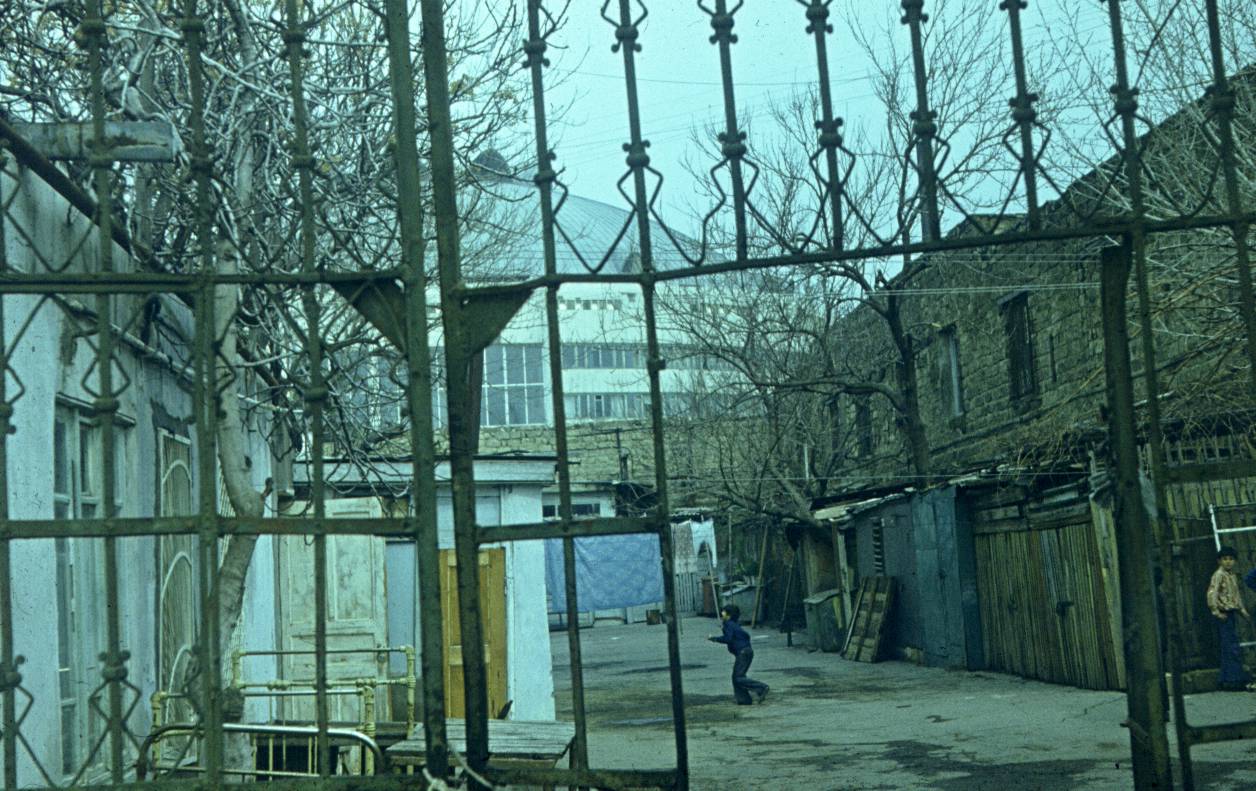 198.JPG