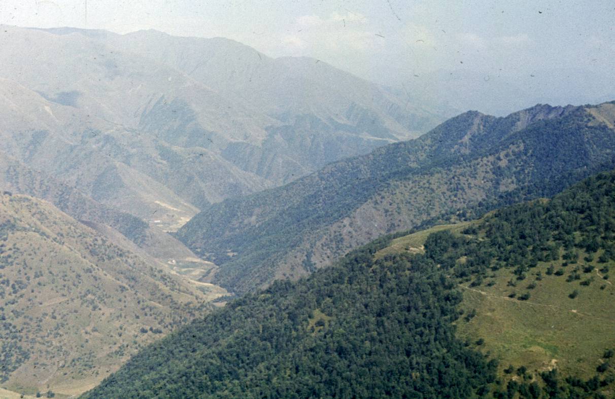 048.JPG