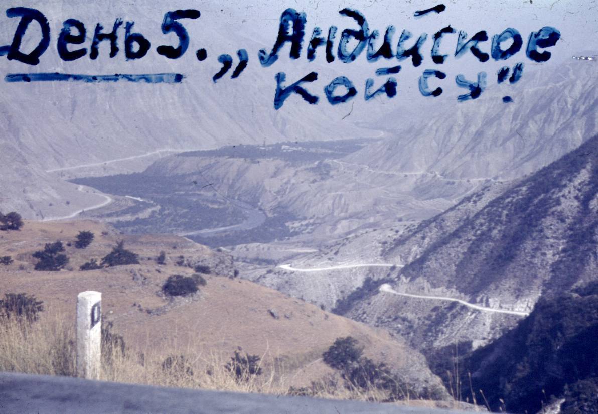 123.jpg