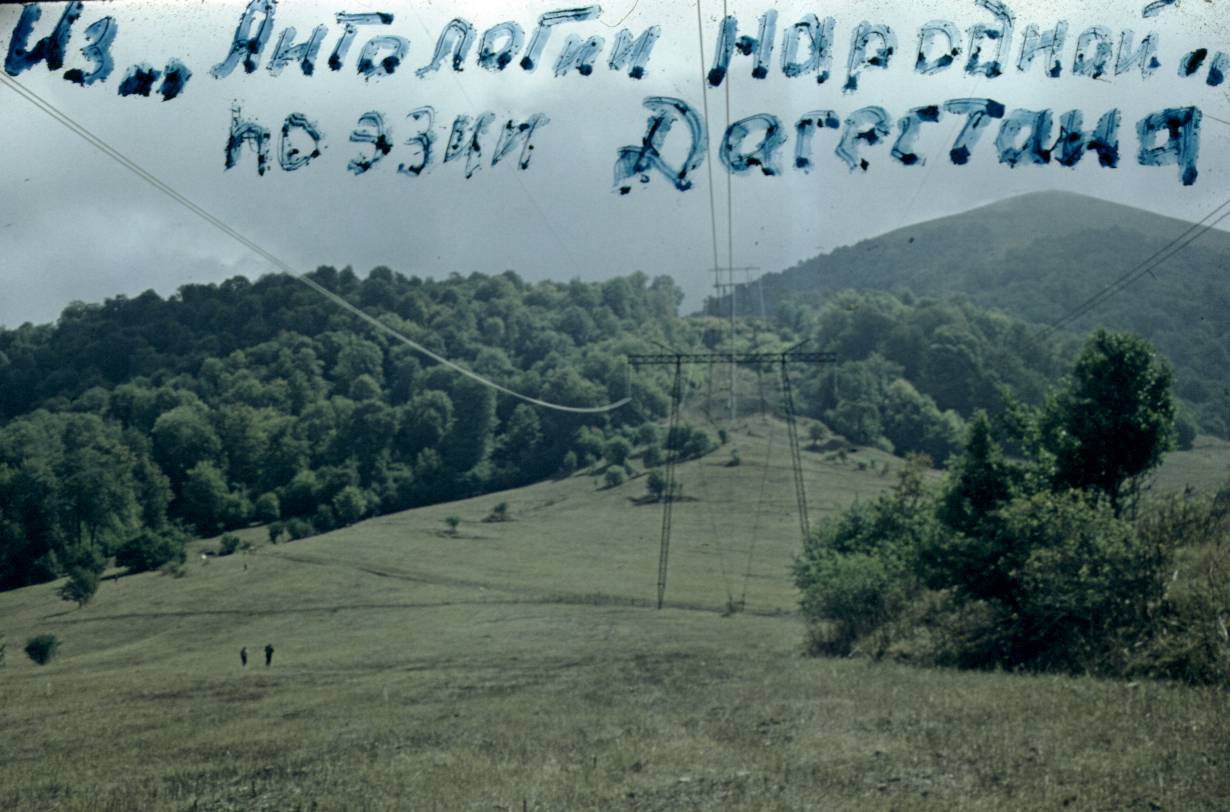 136.jpg
