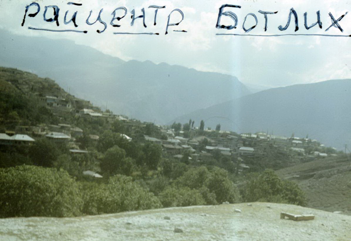 137.jpg
