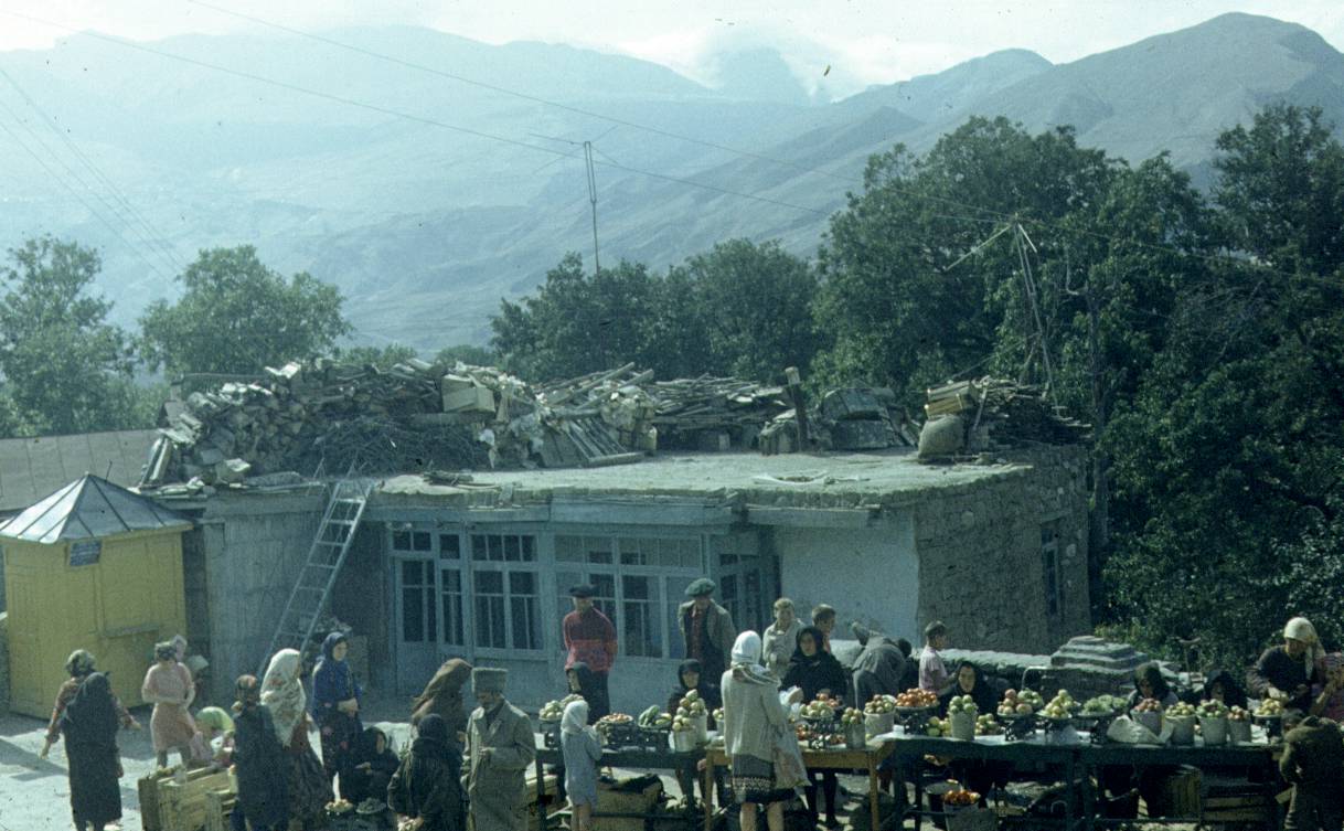 141.jpg