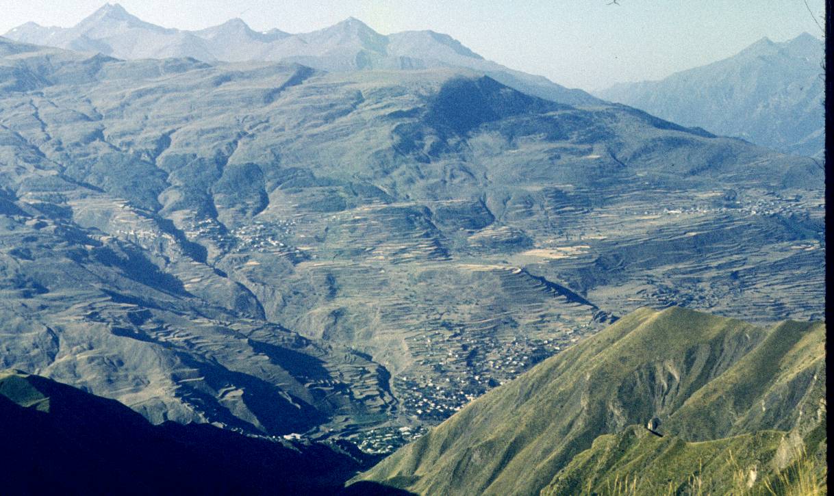 161.jpg