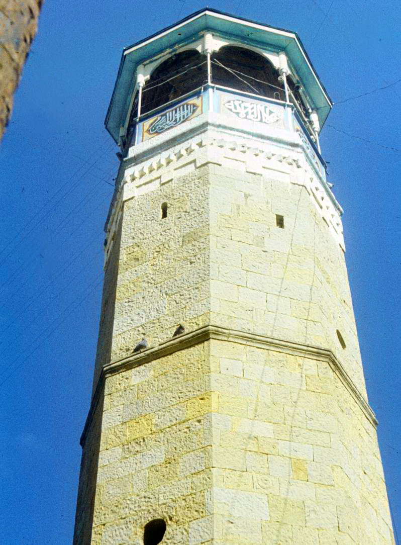 169.jpg