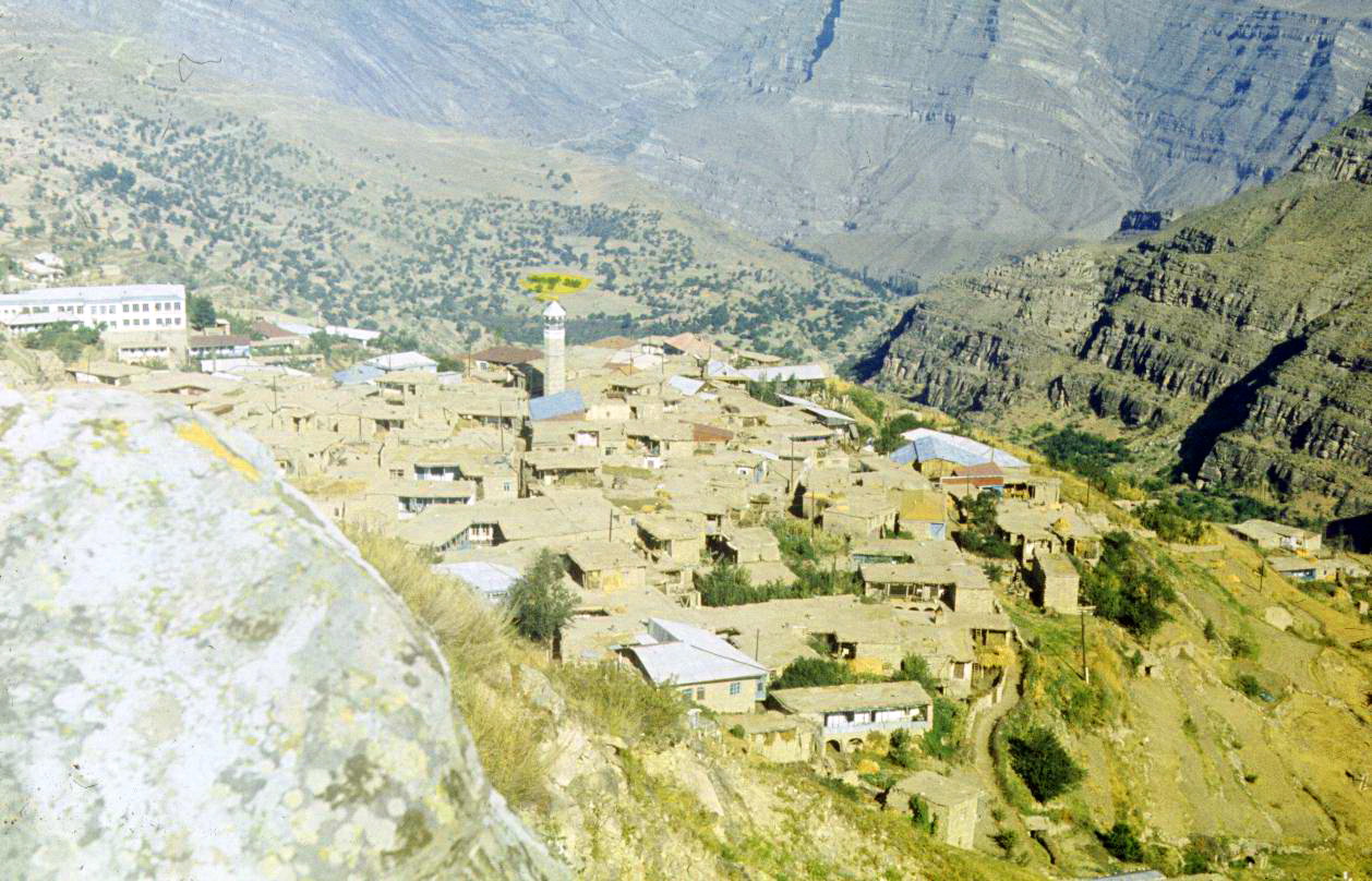 175.jpg
