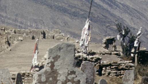 183-1.jpg