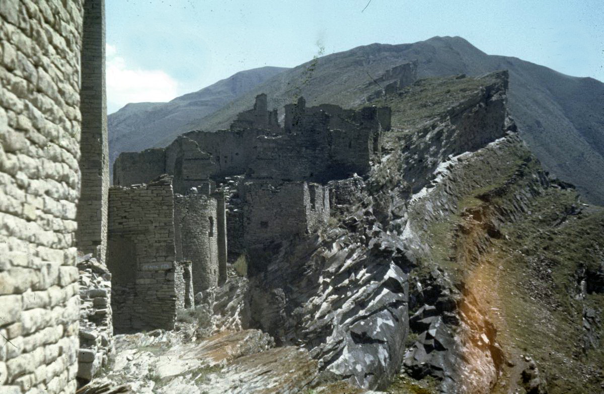 193.jpg