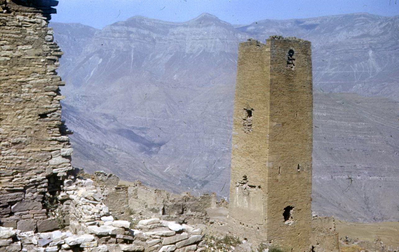 194.jpg