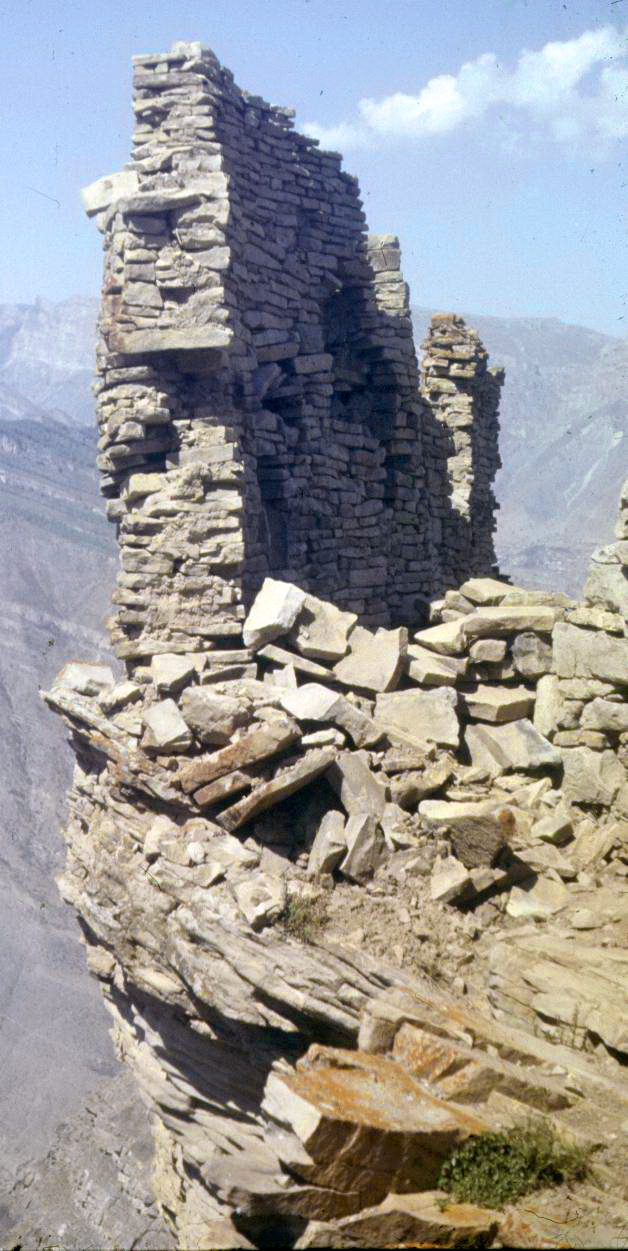 196.jpg