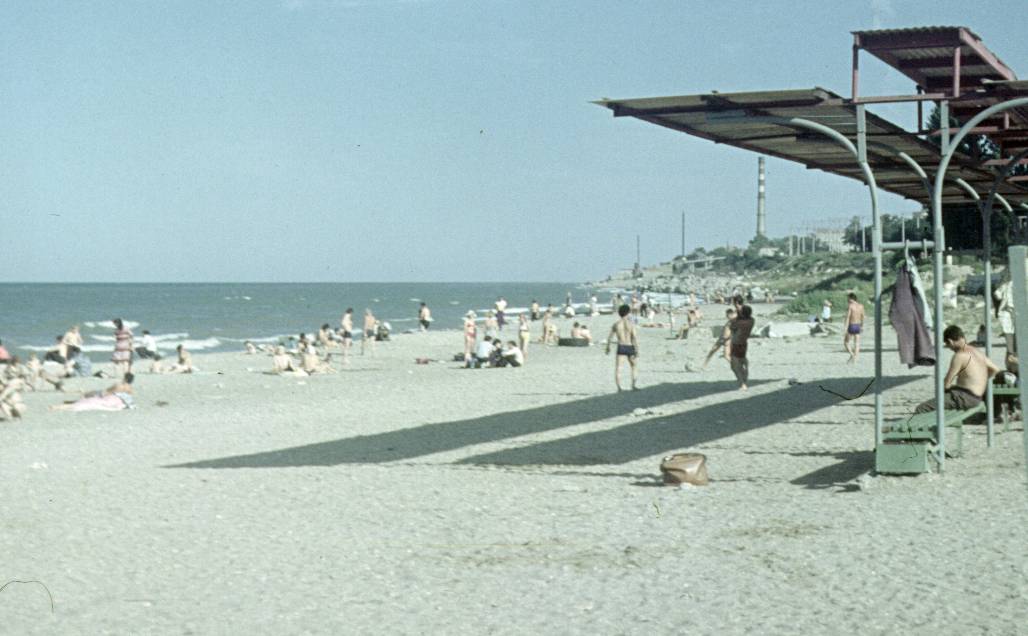 230.jpg