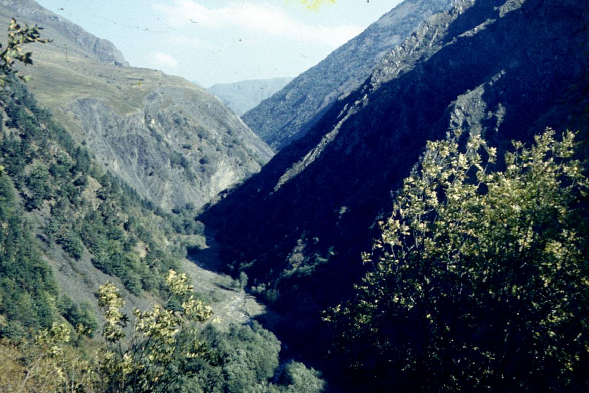 104.JPG