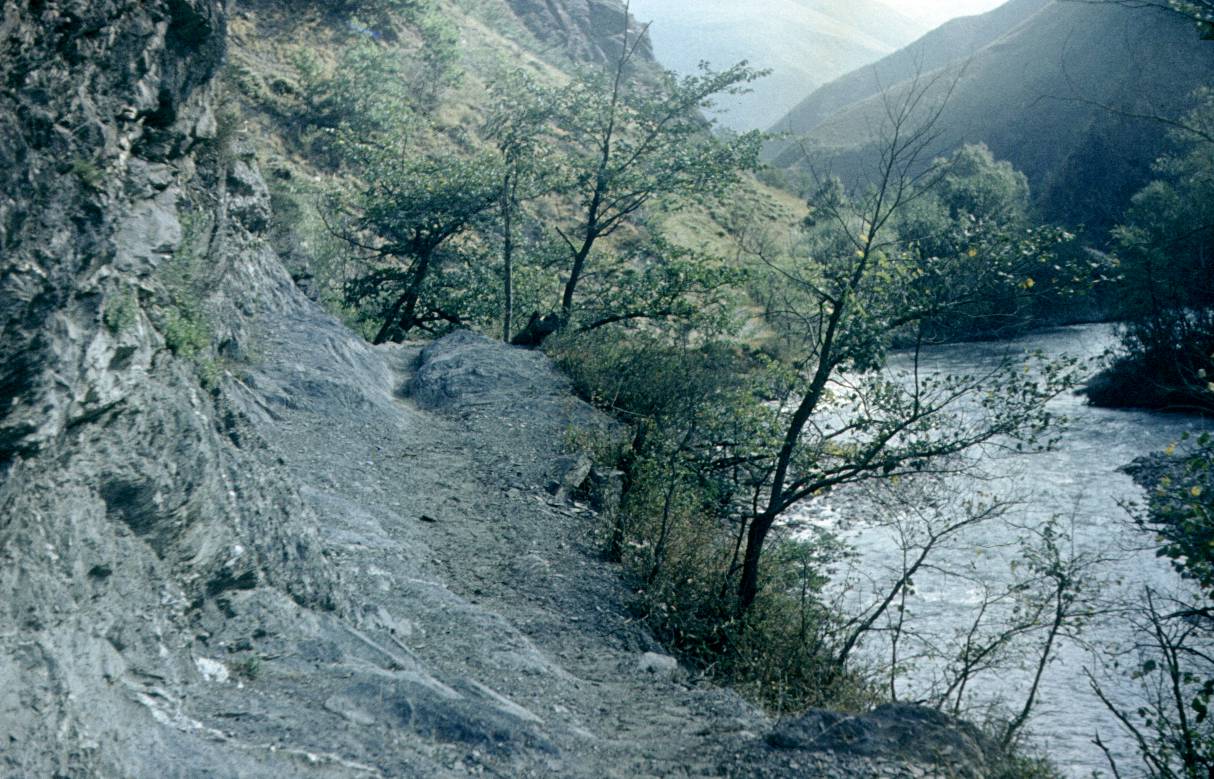 105.JPG
