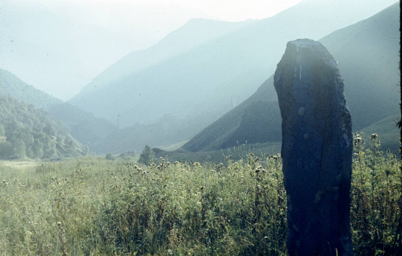 127.jpg