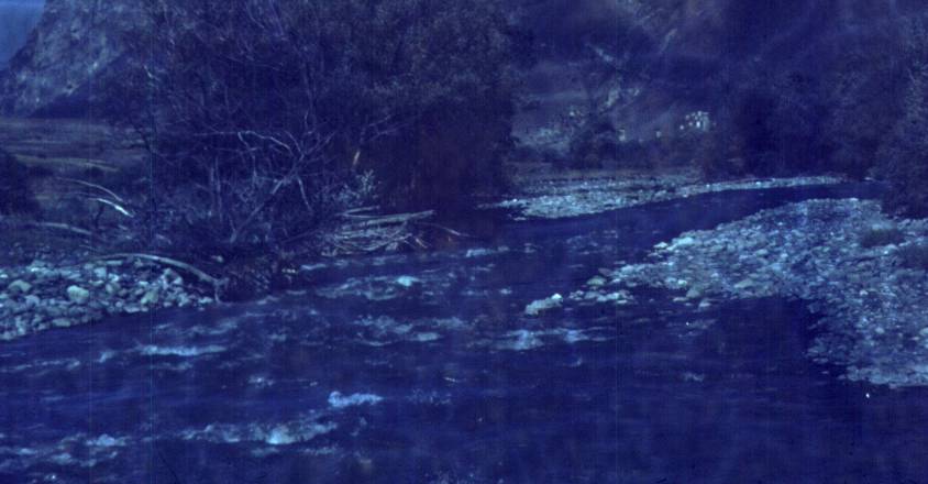 173.JPG