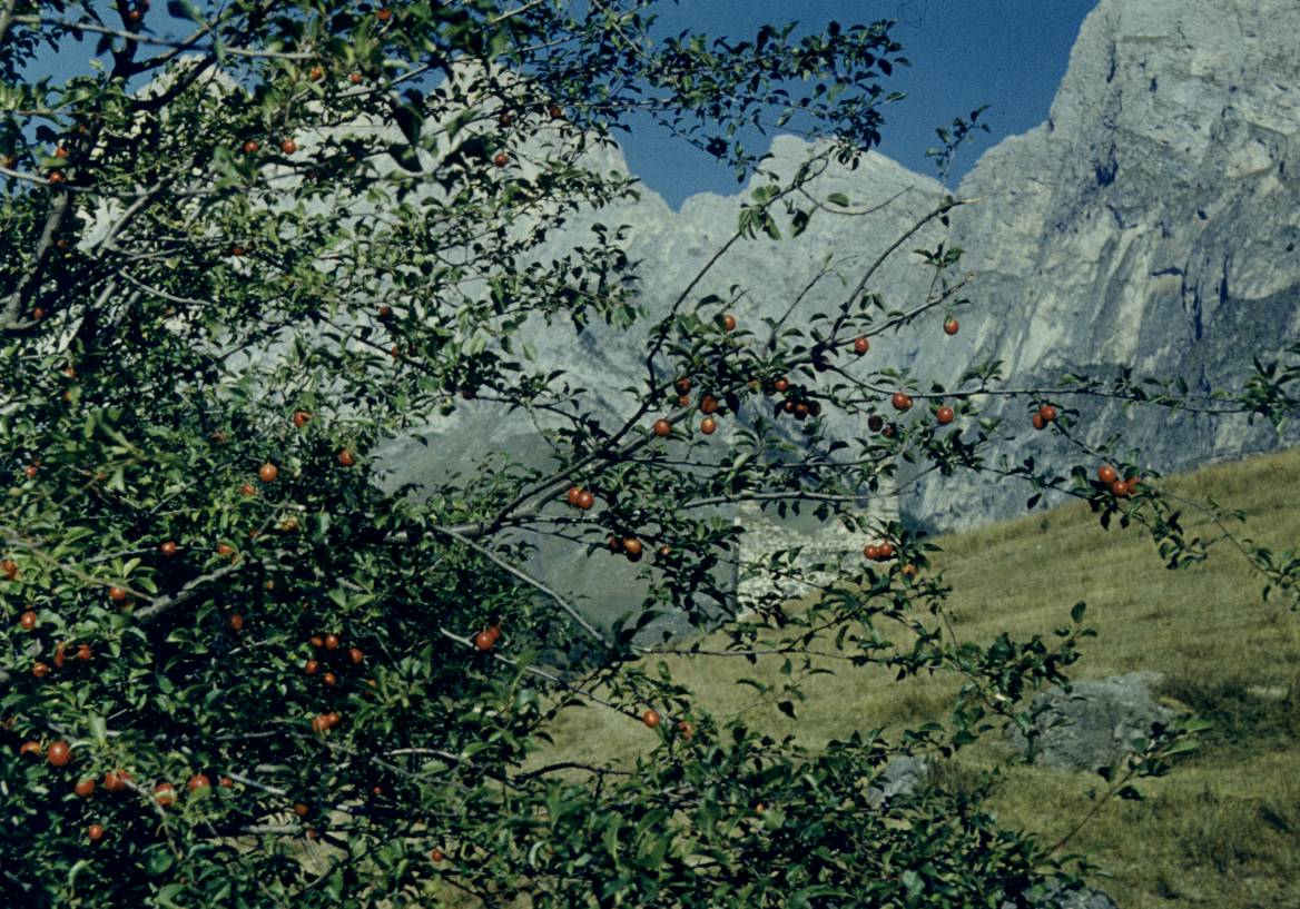 187.JPG