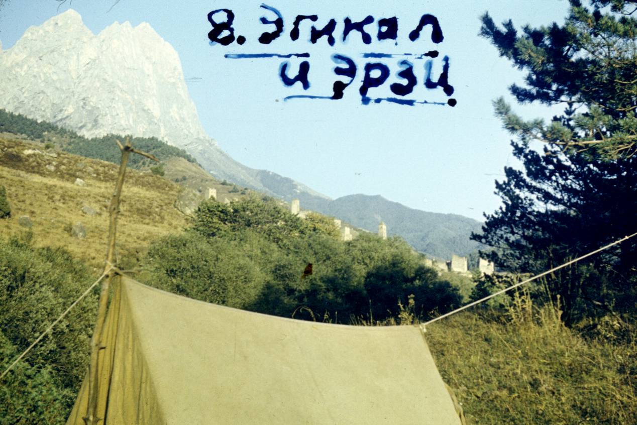 204.JPG