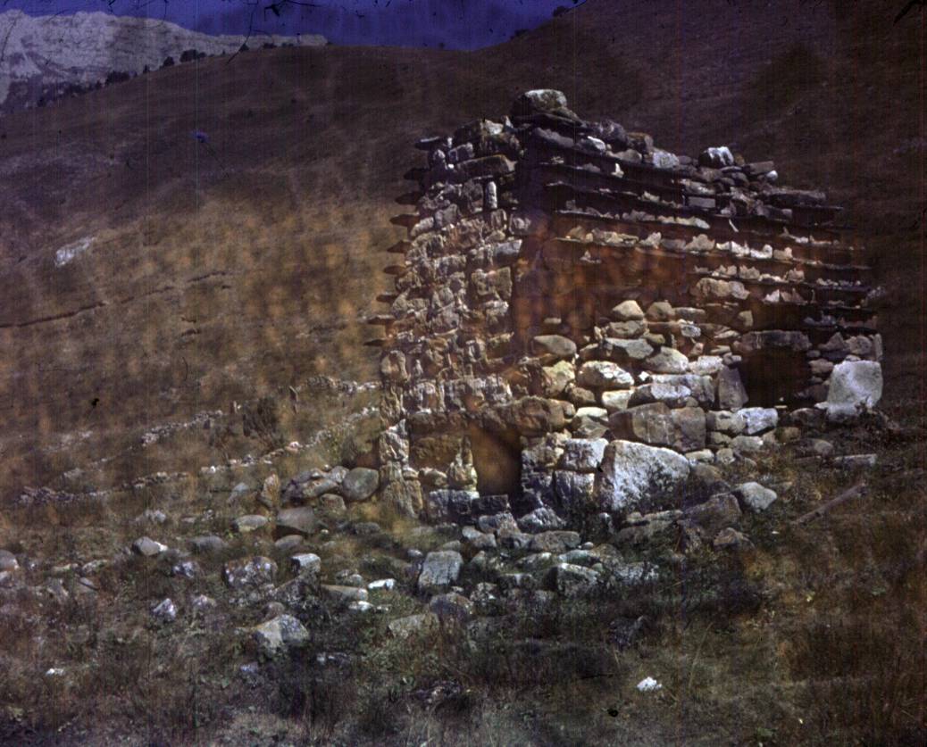 207.JPG